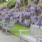 پیچ گیلیسین 2