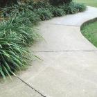 چمن یال اسبی 1